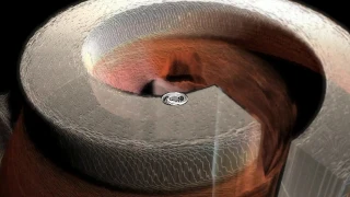roy mills dissociation henry pyne visualiser 