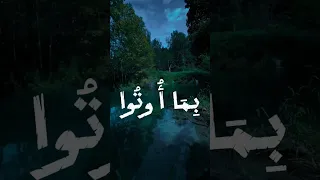 فلما نسوا ما ذكروا فتحنا عليهم ابواب كل شيء الشيخ محمود على البنا متابعه اكسبلور راحة نفسية 