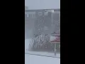 Lake-Effect Snow Causes New York Traffic Nightmare