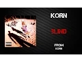 Download Lagu Korn - Blind [Lyrics Video]
