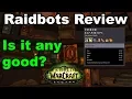 Raidbots Review - Is it any good