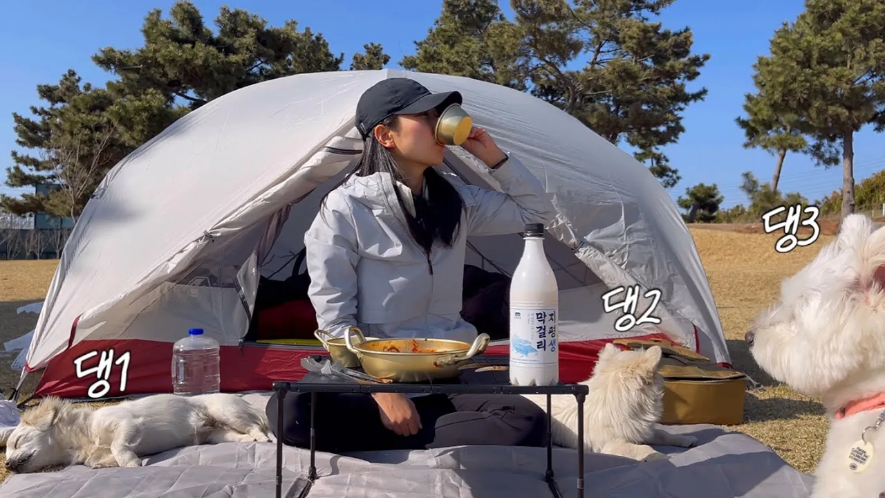 유기견 입양 후, 섬으로 첫 백패킹🏝️| 이것이 진정한 개판 | 봄제철 도다리쑥국 & 빨간뚜껑 | 홍성 죽도 | 단돈 만원 야영장 | backpacking | 애견동반 백패킹 썸네일