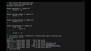 Compiling C Functions into a Shared Library dylib and Calling Them from Python Using ctypes