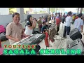 Download Lagu Jorang musik.. Gadis melayu.. Siraya katumba.. Sinanggartullo.. Taboni namar pariban.... Mantap.. 
