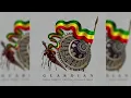 Imeru Tafari x I Wayne x Yohan Marley - Guardian Clean Edit Roots Culture 2026