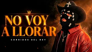 CORRIDOS DEL REY - NO VOY A LLORAR ( VIDEO LYRICS )