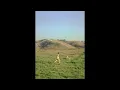 Iann Dior - Valley Of Lies (Unreleased Version)