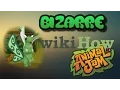 Bizarre WikiHow On Animal Jam