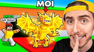 Je Me Fais Passer Pour un BRAINROT pour VOLER BRICE et CRADOC !
