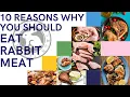 10 REASONS WHY YOU SHOULD EAT RABBIT MEAT