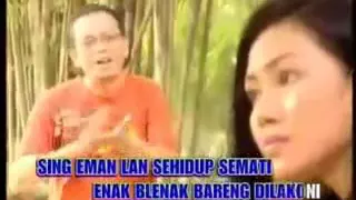 wadon sejati ipang s lagu tarling