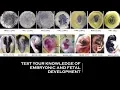 TEST YOUR KNOWLEDGE OF EMBRYONIC AND FETAL DEVELOPMENT