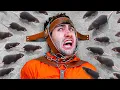 If You Scream You Lose IRL