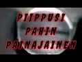 Download Lagu PIIPPUSI PAHIN PAINAJAINEN😱.