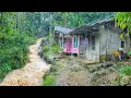 Lagu SUASANA SORE YANG TENANG, TURUN HUJAN DAN KABUT DI KAMPUNG TERDINGIN DI PEDESAAN TASIKMALAYA