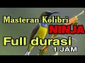 Download Lagu MASTERAN KOLIBRI NINJA || Full Durasi 1 Jam