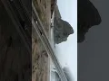 Cinematic TRANSITION in VN Editor