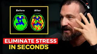 Download Neuroscientist: You Will NEVER Feel Stressed Again | Andrew Huberman MP3
