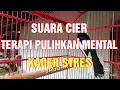 Download Lagu TERAPI Kacer suara cier khas kacer