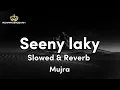 Download Lagu SEENY LAKY SLOWED \u0026 REVERB MUJRA MASTI