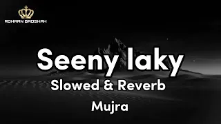 Download SEENY LAKY SLOWED \u0026 REVERB MUJRA MASTI MP3