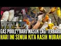 Download Lagu 🔴 BONGKAR LAGI 🔥🔥 !! FULL STOK BUURNG LOKAL \u0026 IMPORT MASIH DIJALUR PROMO 0838-7553-6945