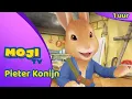 Lagu DE GROTE PIETER KONIJN COMPILATIE 🐰 | DEEL 15 ✨ | Nederlandse Kinderseries | MojiTV