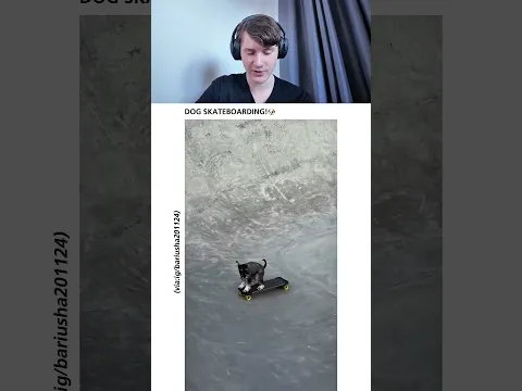 DOG SKATEBOARDING!🐶