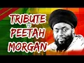 Download Lagu PEETAH MORGAN TRIBUTE VIDEO MIX REGGAE RIDDIMS BY DJ CARLOS BEST OF MORGAN HERITAGE 2024