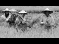 Download Lagu DARAH JUANG ( Lagu Wajib Mahasiswa )