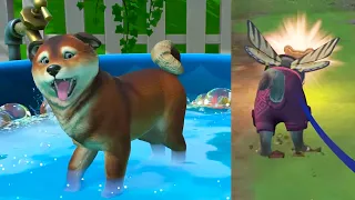 Something New On Puppy Island