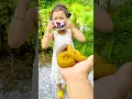 Download Lagu Cutest Video Ever Funny Moments #comedy