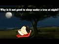 Respiration - Why is it not good to sleep under a tree at night