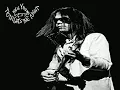 Neil Young - Roll Another Number (for the Road)(Unreleased)
