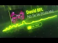 David BFL Feat. Emilia, Ludmilla, Zecca - No Se Ve (Klubb Mix)