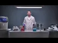 Chemiluminescence Western Blot - Reliable Chemiluminescent Protein Detection for Western Blots