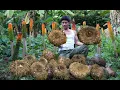 Lagu Challenge to harvest strange tuber from the forest and cook them with surprising results!