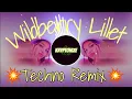Download Lagu Nina Chuba - Wildberry Lillet (Kryptonize Techno Remix)