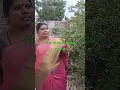 Download Lagu sirulaina saripothaya ni chirunavvulaku # short song #