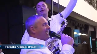 ardelenii brasov soferia lasa tu muiere gura fetele lui tata baietii lui tata