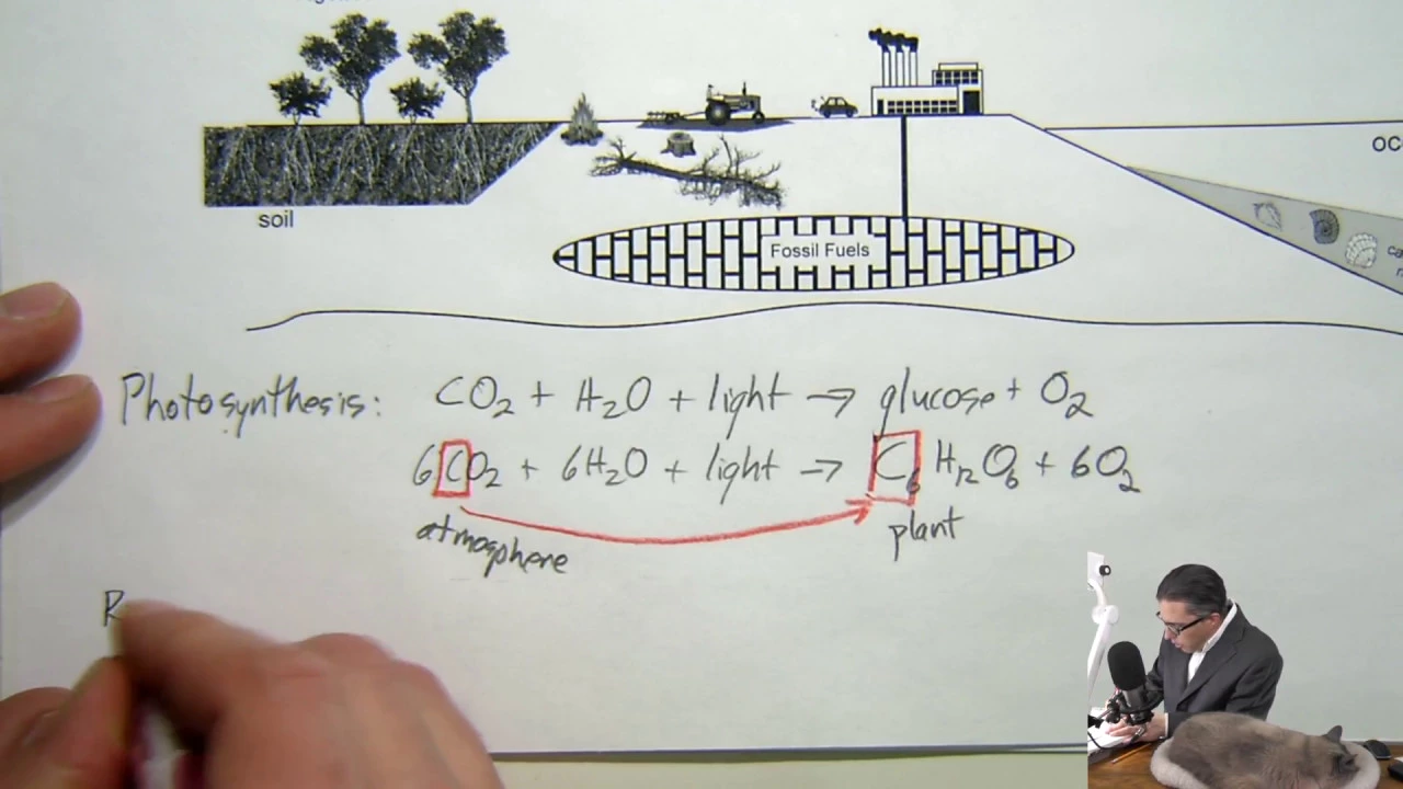 Lecture 16: Introduction to the carbon cycle