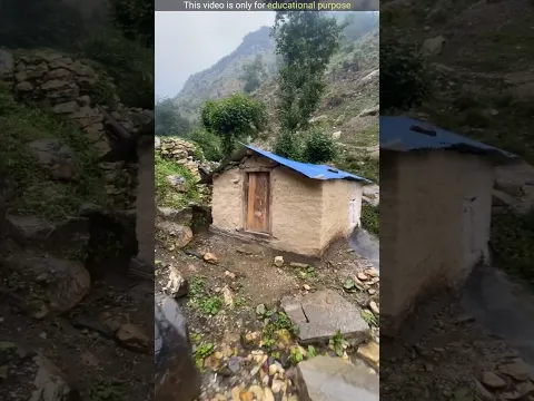 Natural flour mill #shorts