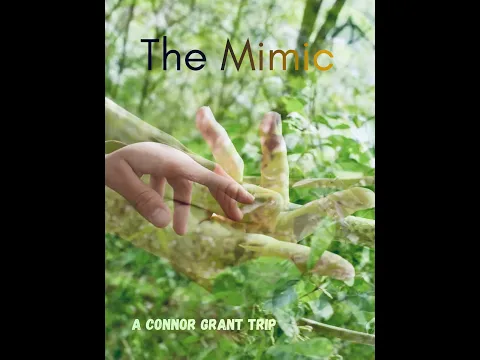 The Mimic