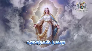 ترنيمة يا ملكة بارة نقية   فريق أصواتنا ليك دندنها