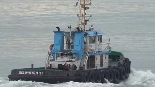                                                                        دندنها