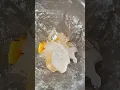 Download Lagu Mango sago drink mango dessert #foodie #shortvideo #subscribe