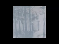 The Magnetic Fields - 100,000 Fireflies