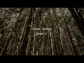Arash Buana - i've always loved u ( LIRIK )