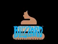 The state of Blizzard customer support in 2022
