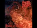 Blessed Are The Sick / Leading the Rats - Morbid Angel